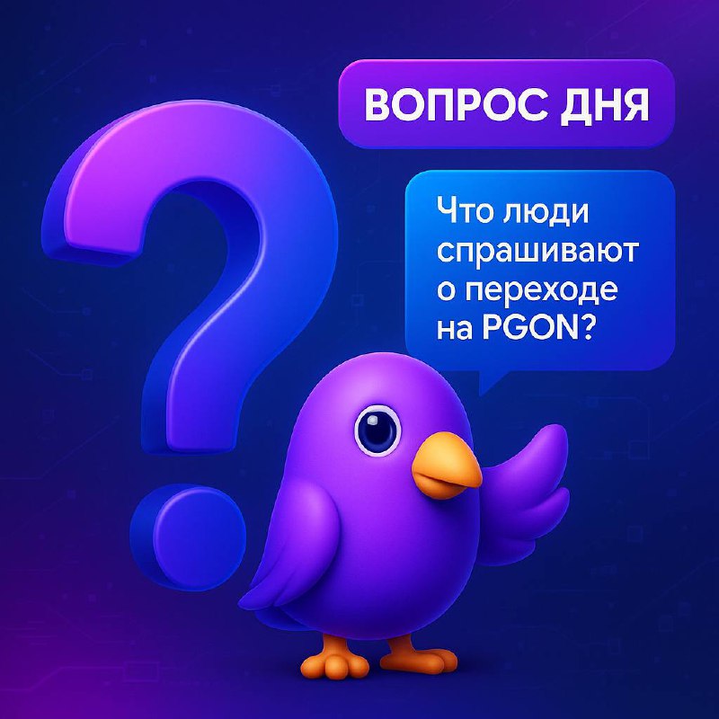 Частые вопросы о PGON: безопасность, банк и оплата по QR