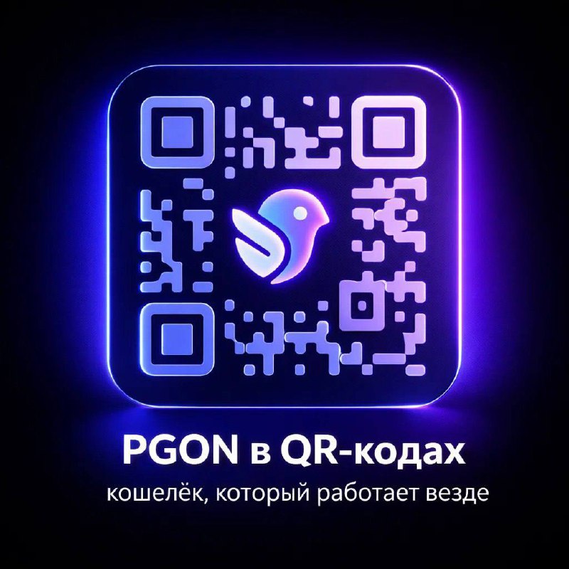 Как работает кошелек PGON там, где принимают QR-коды