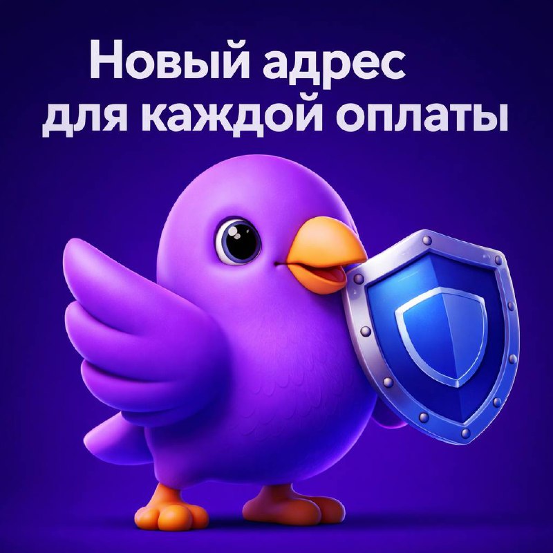 Новый адрес для каждой оплаты: как PGON повышает приватность